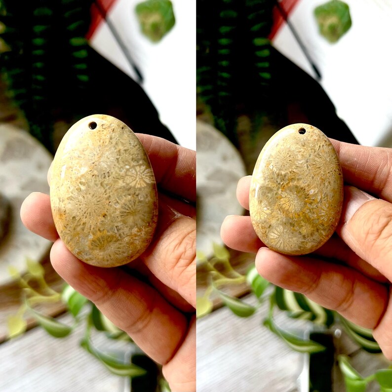 May include: An oval fossil pendant in beige with detailed floral patterns. The stone has a natural appearance and a small hole for threading. The pendant is held in a hand, highlighting its texture and the intricate design.