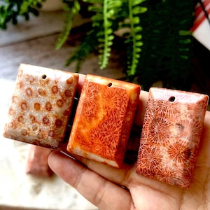 Fossil Coral Pendant | Natural Coral Jasper | Ocean Fossil Stone | Square or Raindrop | Aesthetic Collector Gemstone Gift image 1