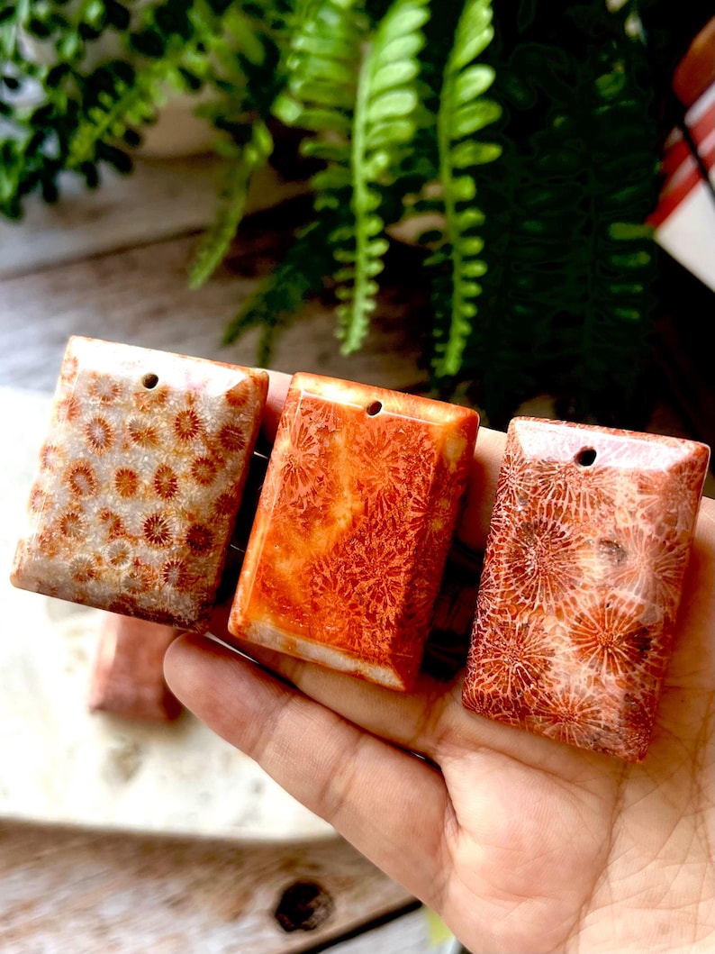 Fossil Coral Pendant | Natural Coral Jasper | Ocean Fossil Stone | Square or Raindrop | Aesthetic Collector Gemstone Gift image 1