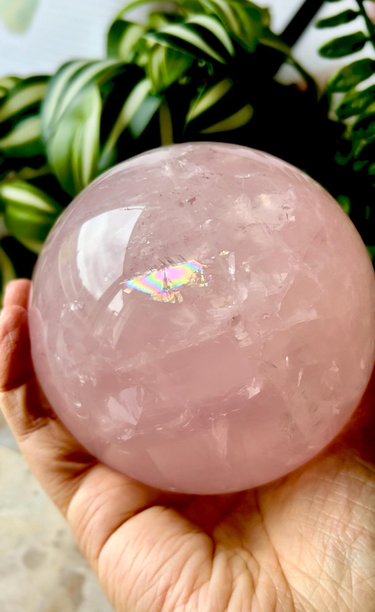 Premium 96mm Xlarge Rainbow Rose Quartz Sphere |1.3kg|2.9 Lb