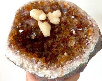 May include: A large citrine geode featuring deep amber and golden-brown crystalline structures lining the interior cavity, topped with three distinct, pale cream-colored, textured mineral formations resting centrally.