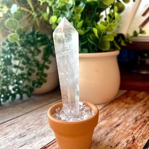 Delicate Clear Quartz Wand Mini Pot Set With Clear Quartz Chips – Cute Desk Display Desk & Home Decor