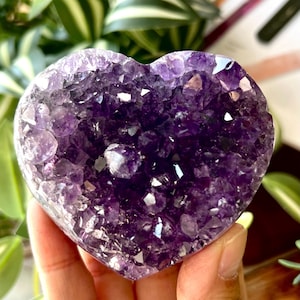 May include: A heart-shaped amethyst crystal geode. The crystal is a deep purple color with sparkling facets. The geode is held in a hand, with green foliage in the background.