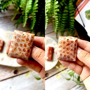 May include: Two rectangular coral fossil pendants. The pendants are beige with reddish-brown circular patterns. Each pendant has a small hole at the top for stringing. The background includes greenery and a wooden surface.