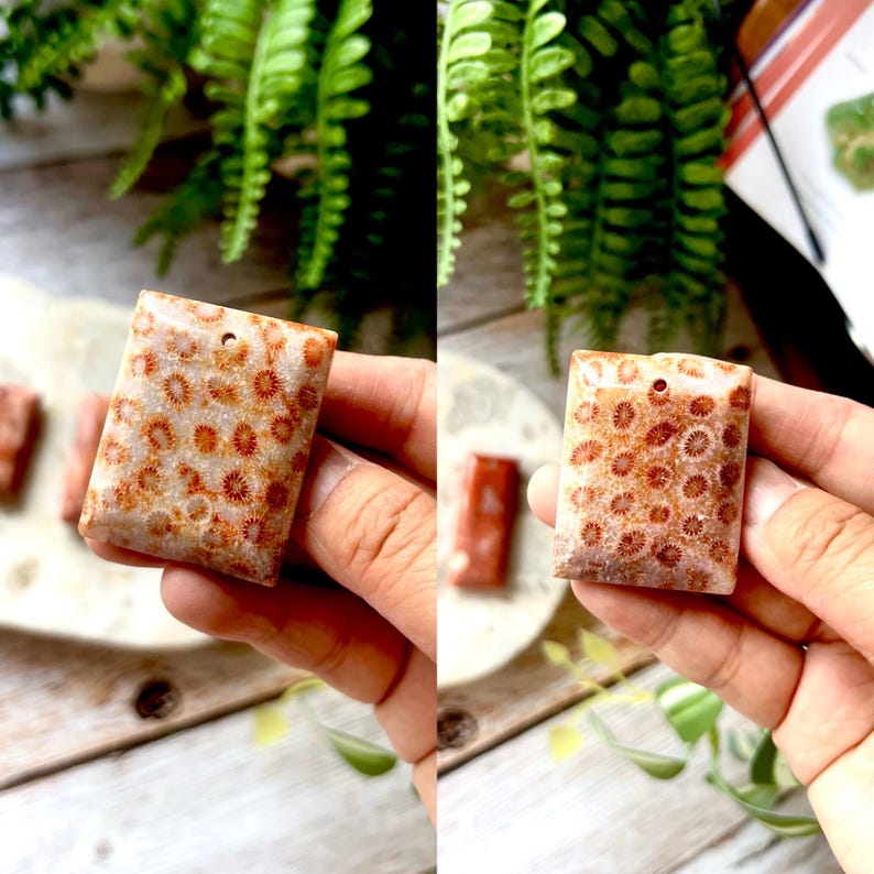 May include: Two rectangular coral fossil pendants. The pendants are beige with reddish-brown circular patterns. Each pendant has a small hole at the top for stringing. The background includes greenery and a wooden surface.