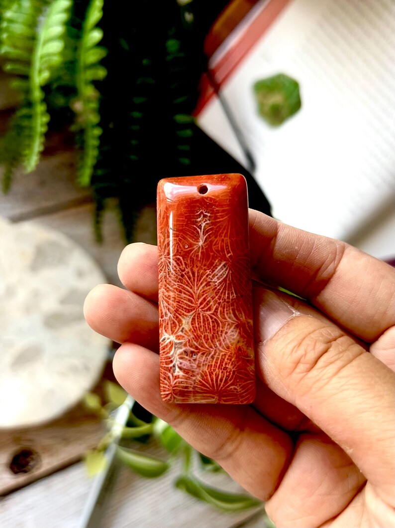 May include: A rectangular, reddish-orange pendant with a hole at the top. The pendant features a detailed, natural pattern of white lines, resembling coral. The stone is held in a hand, with a blurred background of greenery and a book.
