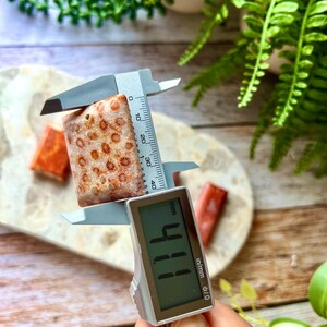 May include: A rectangular coral stone with a natural pattern is measured with a digital caliper. The stone is light brown with small, circular patterns. The caliper displays a measurement of 4.11 cm.