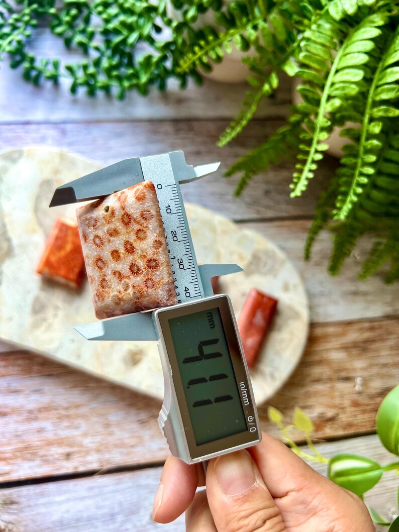May include: A rectangular coral stone with a natural pattern is measured with a digital caliper. The stone is light brown with small, circular patterns. The caliper displays a measurement of 4.11 cm.