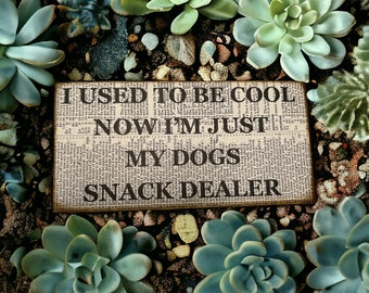 Funny Dog Snack Dealer Sign - Hand Crafted Dog Lover Gift