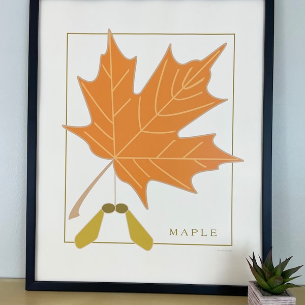 Maple Leaf, 16x20" Art Print