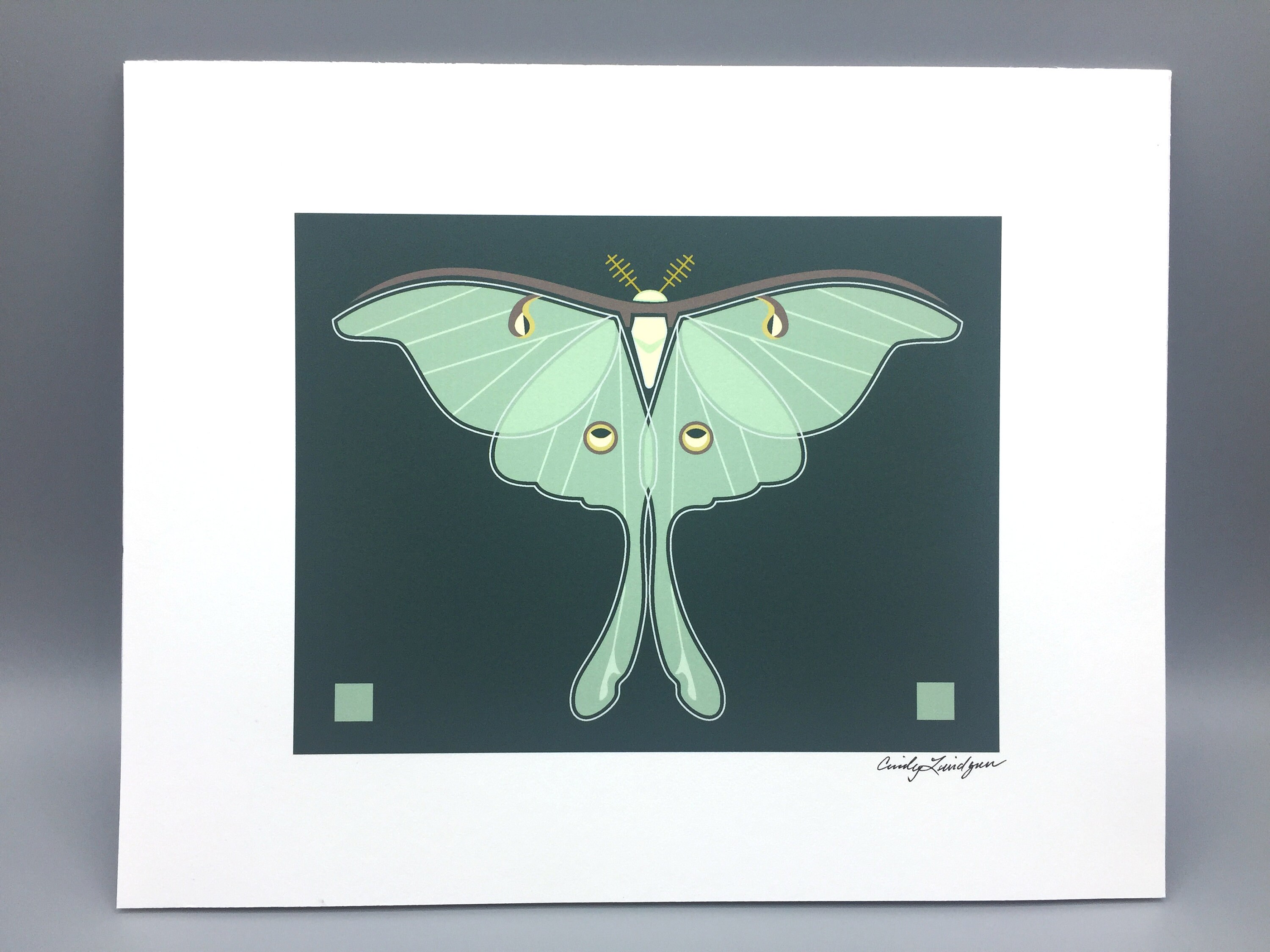 Luna Moth Art Print - Etsy
