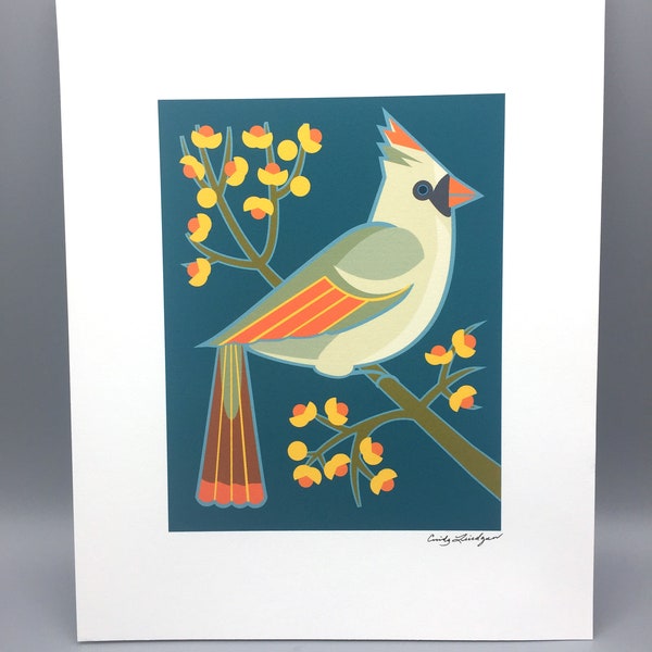 Bittersweet  Female Cardinal, Art Print