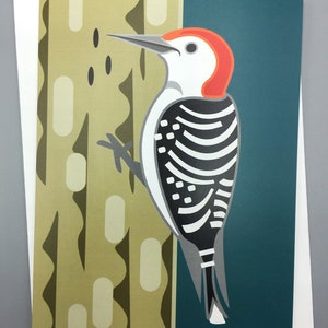 Woodpecker Card