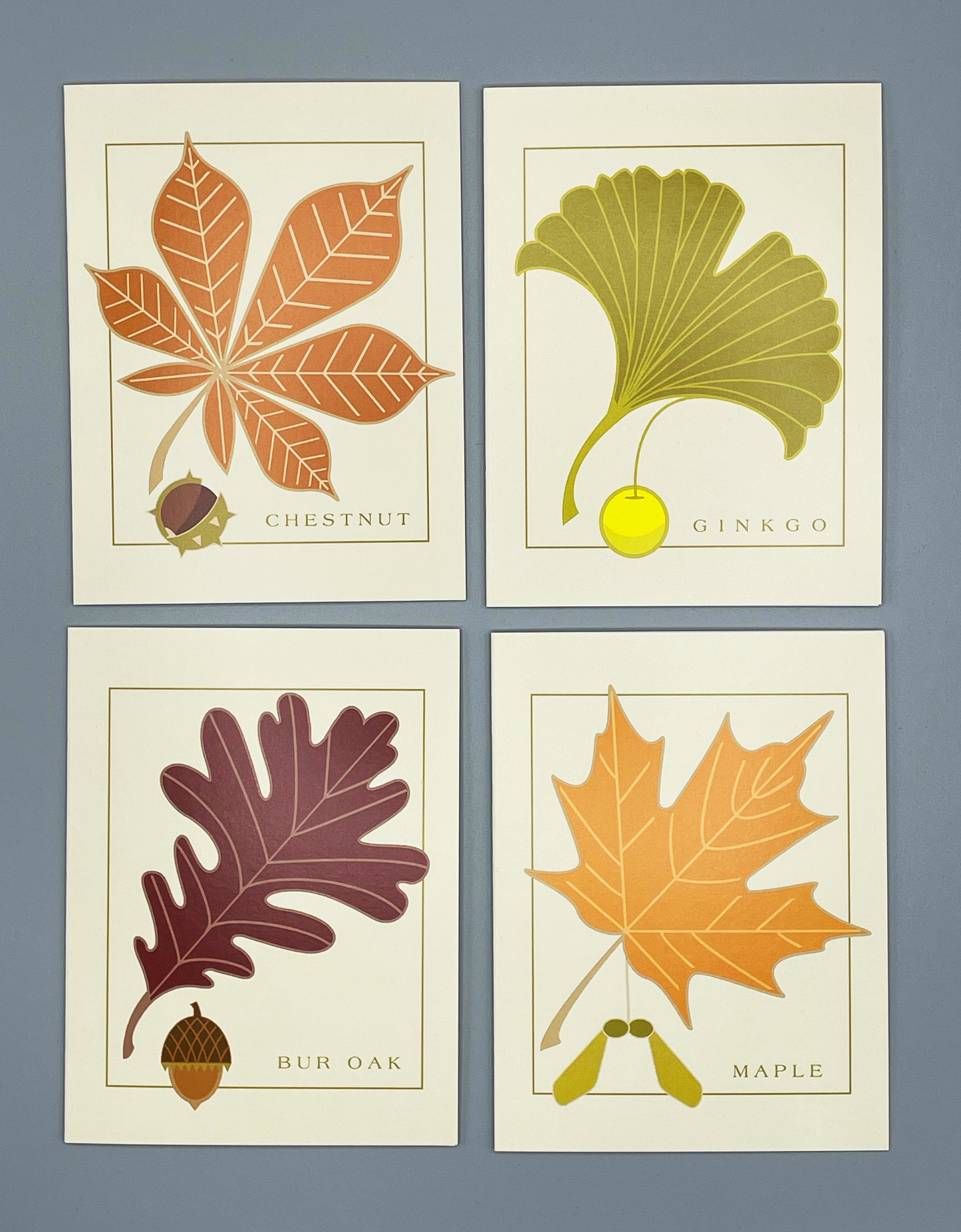 Leaf Collection Ginkgo Chestnut Bur Oak Maple Note Cards | Etsy