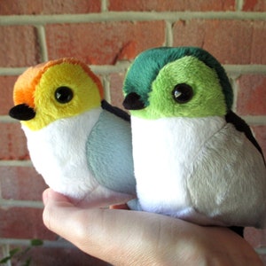 Aromantic / Aroace Pride Plush Bird