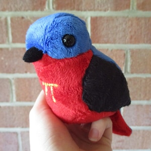 May include: A plush toy bird with a blue head, red body, and black wings. The bird has a black beak and a large black eye. The letter "π" is embroidered in yellow on the bird's chest. The toy is held in a person's hand.
