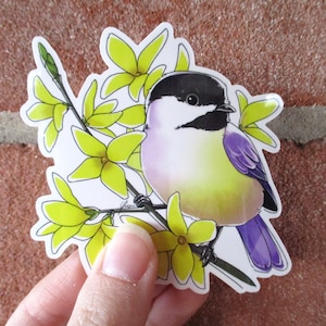 3x3" Orgullo no binario Chickadee Vinilo Adhesivo