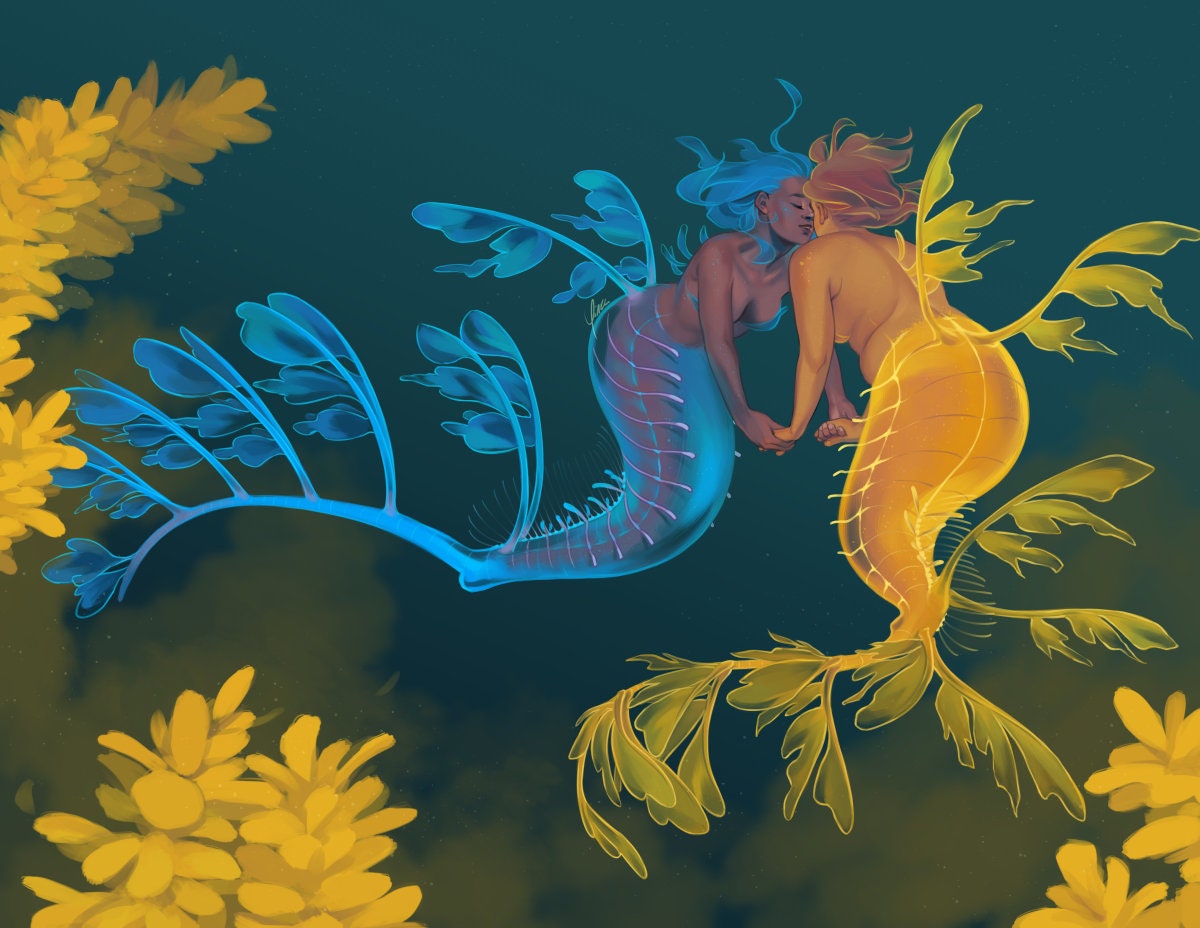 8.5x11" Art Print - Leafy Seadragons