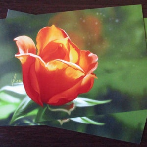 Carte postale imprimée 4 x 6 po. - Rose thé orange