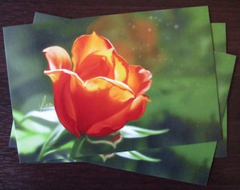 4x6" Postcard Print - Orange Tea Rose