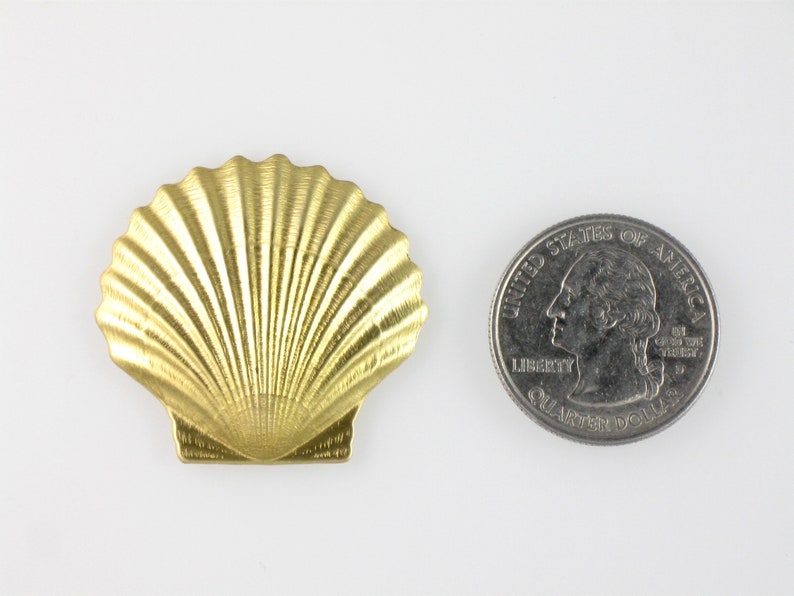 4 Gold SEASHELL Jewelry Embellishments. Raw Brass Stamping. Etsy