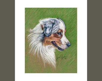 Australian Shepherd Black Tri Fine Art 8x10 Print Free Shipping ***