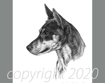 Australian Shepherd Black Tri Fine Art 8x10 Print Free Shipping ***