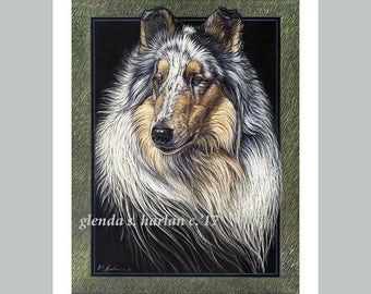 Áspero Collie bellas artes 8 x 10 impresión