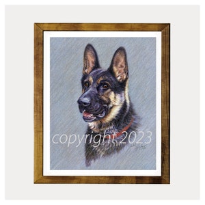 German Shepherd Colored Pencil Drawing 8x10 Print by Glenda S. Harlan