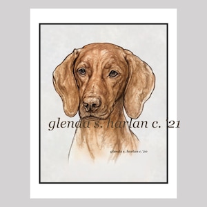 Vizsla Dog Fine Art Note Cards - Ensemble de huit