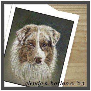Red Merle Australian Shepherd Dog Fine Art Note Cards, Aussie Dog Stationary
