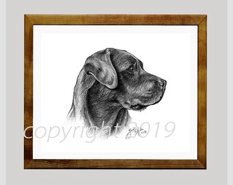 Labrador Retriever Fine Art 8 x 10 afdrukken door Glenda S. Harlan