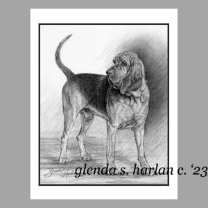 Bloodhound Note Cards Fine Art Drawing Dog Lover Gift Dog Mom Bloodhound Stationary - Set of Four or Eight.