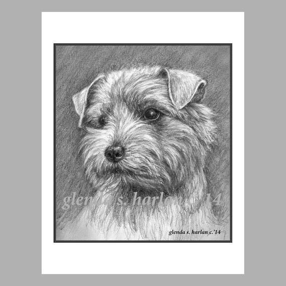 Norfolk Terrier Note Cards Set Of Eight Free Shipping Etsy Norfolk Terrier Note Cards Set Of Eight Free Shipping Etsy