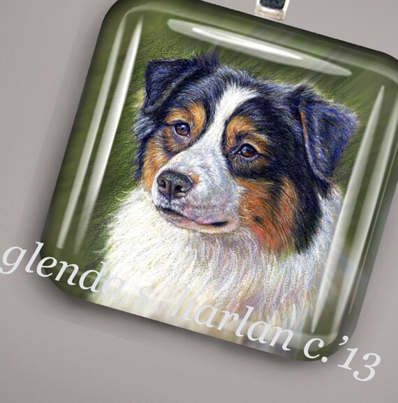 Australian Shepherd Black Tri Fine Art 8x10 Print Free Shipping ***