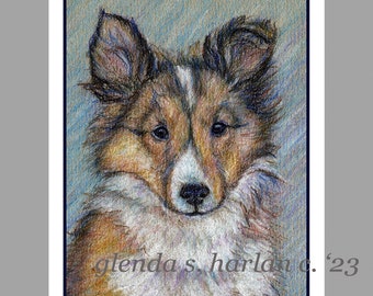 Sheltie Pup Dog Notecards Fine Art Drawing Dog Lover Gift Shetland Sheepdog Mom Stationary - Set of Four or Eight.