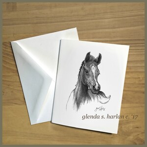 Arabian Colt Note Cards Horse Art Equine Mom Gift Arabian Horse Lover