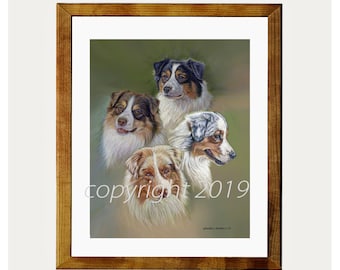 Australian Shepherd Four Colors Fine Art 8x10 Print