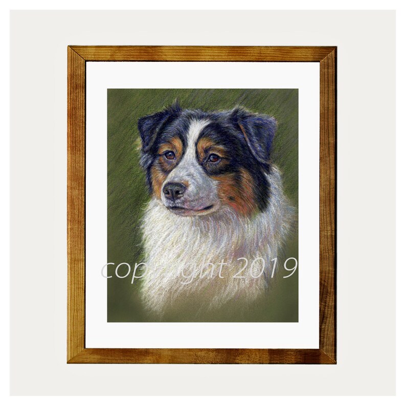 Australian Shepherd Black Tri Fine Art 8x10 Print Free Shipping ***