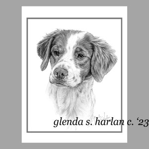 Biglietti per appunti con cane Brittany Spaniel Disegno artistico Regalo per amante dei cani Brittany Dog Mom Stazionario - Set di quattro o otto.