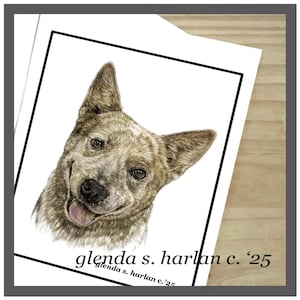 Cattle Dog Note Cards Fine Art Drawing Dog Lover Gift Cattle Dog Stationary - Set of Four or Eight.