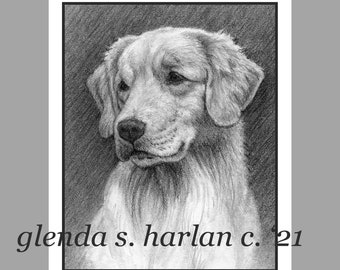 Golden Retriever Dog Note Cards Fine Art Goldie Lover Dog Mom