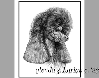 May include: Black and white pencil drawing of a standard poodle with a fluffy, round, and full haircut. The dog is looking to the right of the image. The artist's signature, "glenda s. harlan c.'23", is at the bottom of the image.