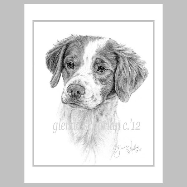 Brittany Spaniel Dog Fine Art Note Cards - set of Eight - Free Shipping ***