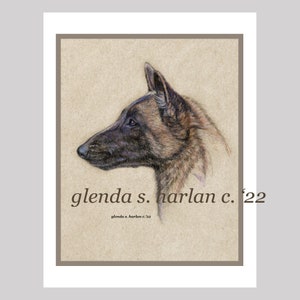 Tarjetas de notas de perro belga Malinois Bellas Artes Dibujo Regalo Perro Mamá Malinois Amante - conjunto de cuatro u ocho