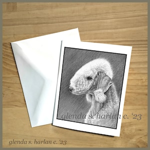 Bedlington Terrier Dog Note Cards Fine Art Drawing Dog Lover Gift Terrier Dog Mom Stationary - Set of Four or Eight.