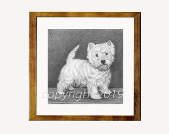 West Highland Terrier Fine Art 8x8 Print