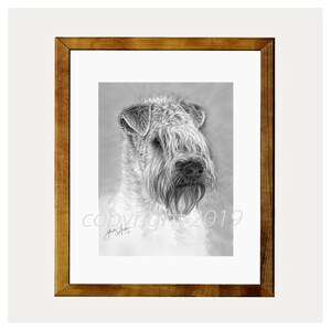 Wheaten Terrier Dog Fine Art 8x10 Print