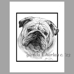 Adorables cartes de notes Bulldog Fine Art Drawing Dog Lover Bully Dog Mom Stationary - Ensemble de quatre ou huit.