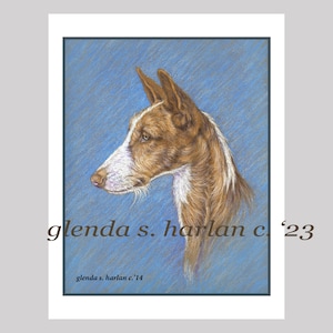 Wire Coated Ibizan Hound Dog Fine Art Note Cards - PACK of EIGHT